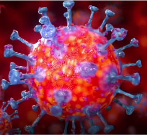 coronavirus
